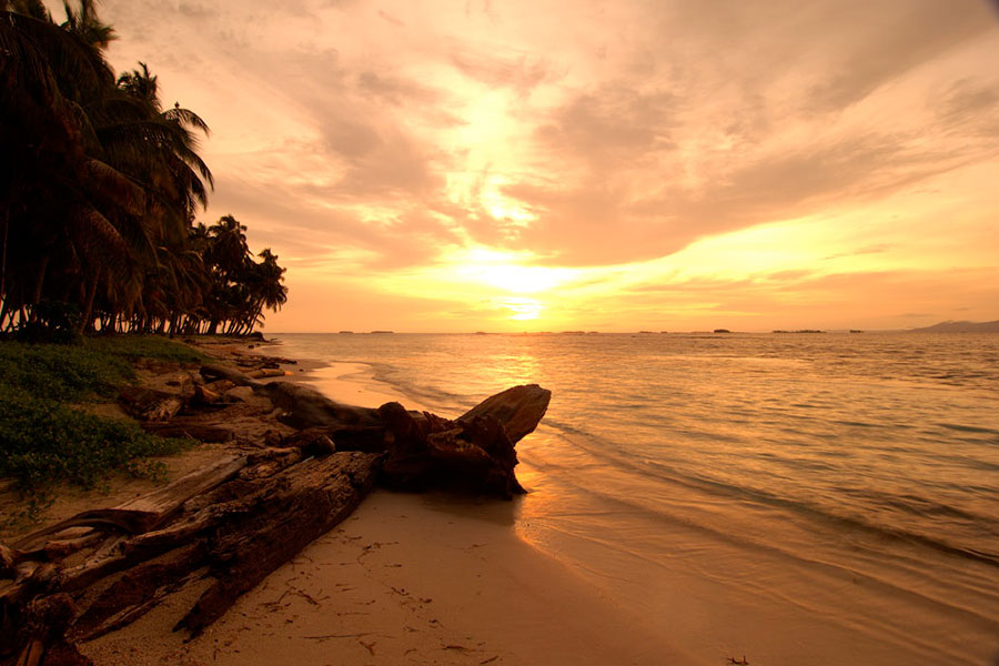 The sun setting over a beautiful beach lined with trees
